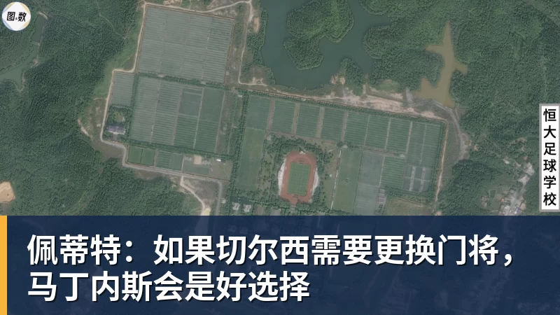 尊龙凯时佩蒂特：如果切尔西需要更换门将，马丁内斯会是好选择